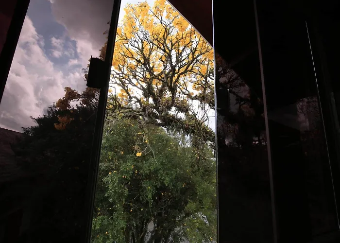 Aardvark Inn Pousada Gramado